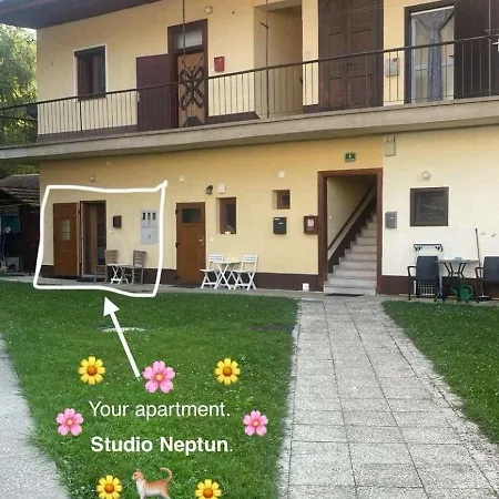 شقة Neptun